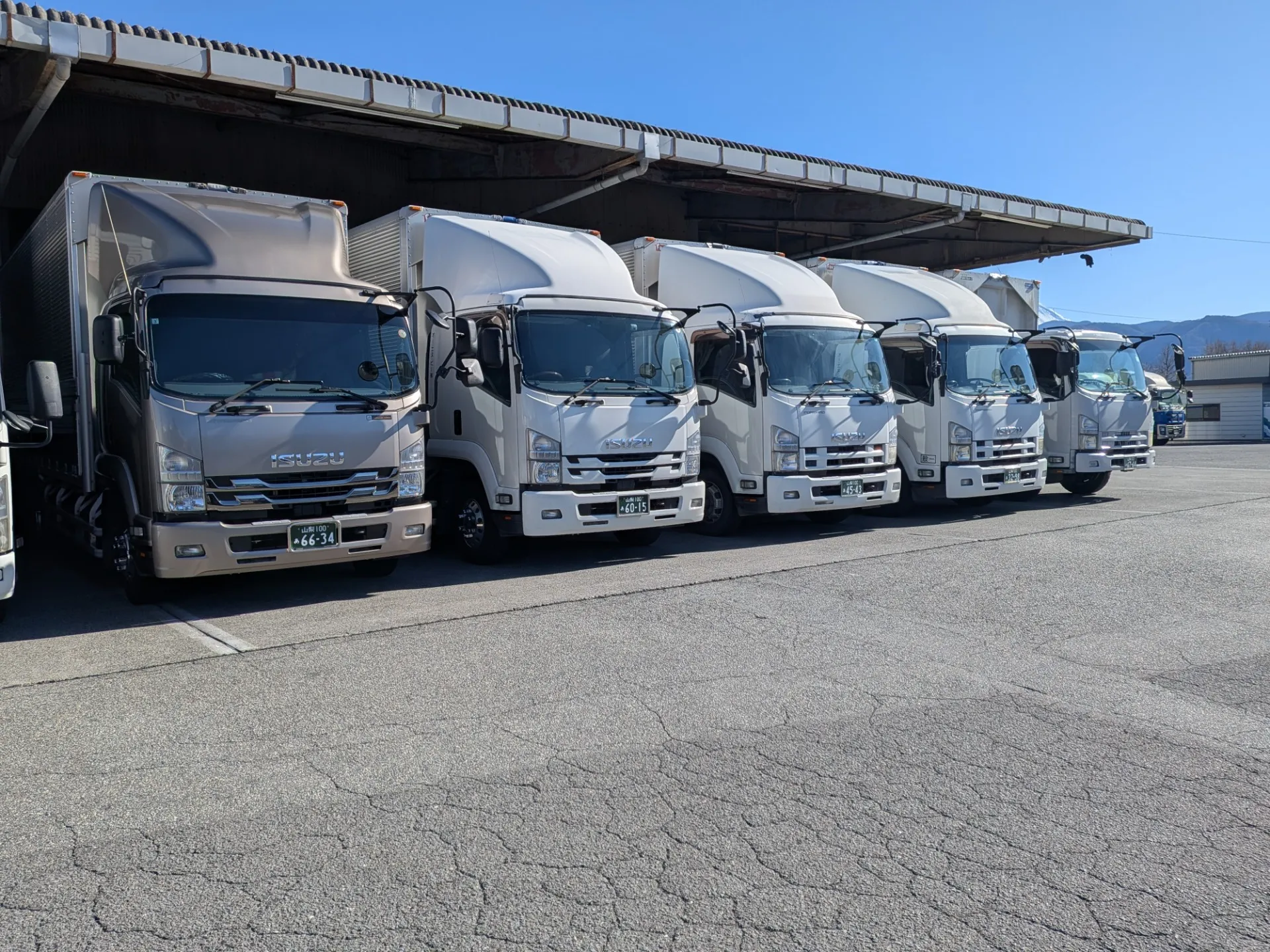 中型・準中型(4t)トラックドライバー